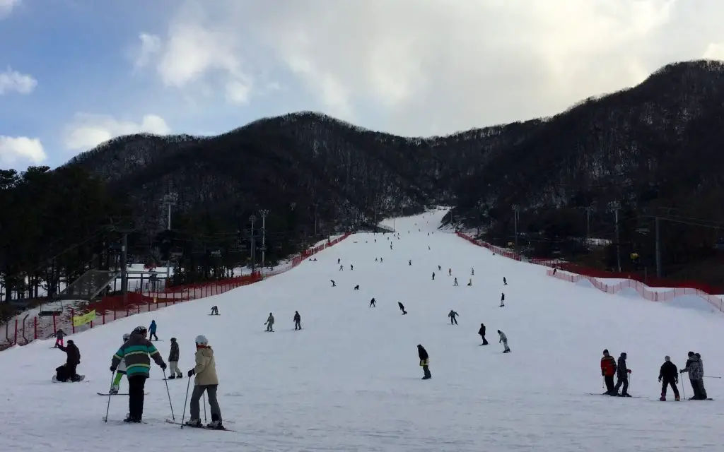 Ski slopes at Jisan Forest Resort