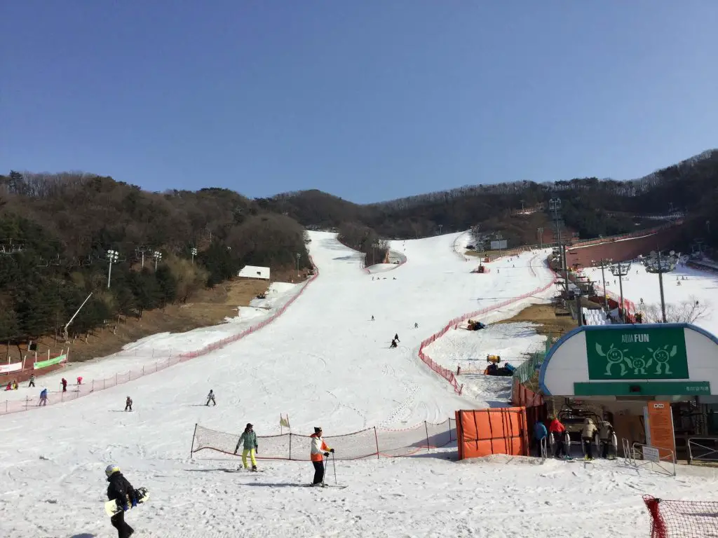 Ski slopes at Yangji Pine Resort